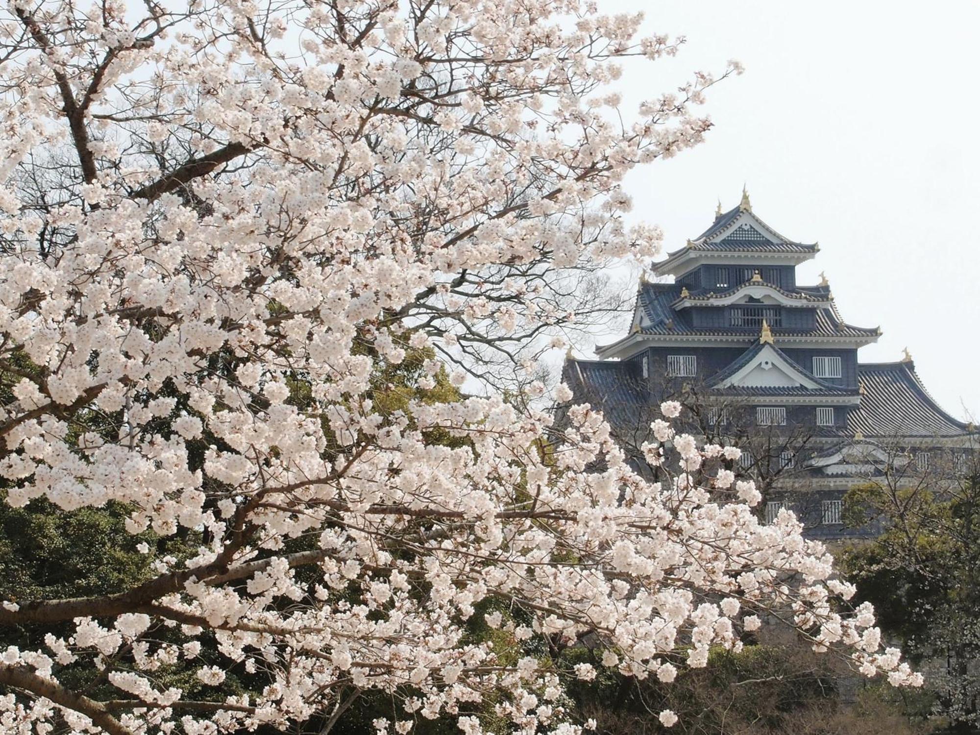 Apa Hotel Kurashiki Ekimae Luaran gambar